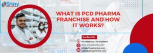 What is PCD Pharma Franchise and How It Works?