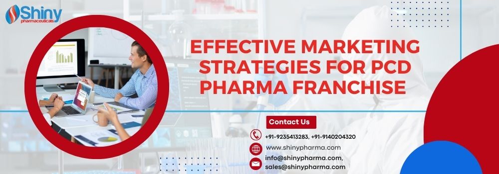 Effective Marketing Strategies for PCD Pharma Franchise
